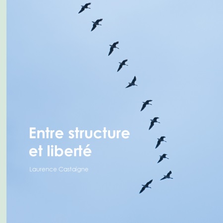 publier-un-livre.com_3516-entre-structure-et-liberte