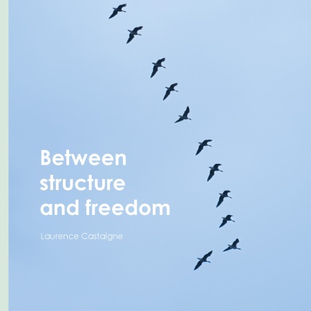 publier-un-livre.com_3534-between-structure-and-freedom