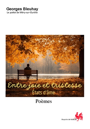 publier-un-livre.com_3636-entre-joie-et-tristesse