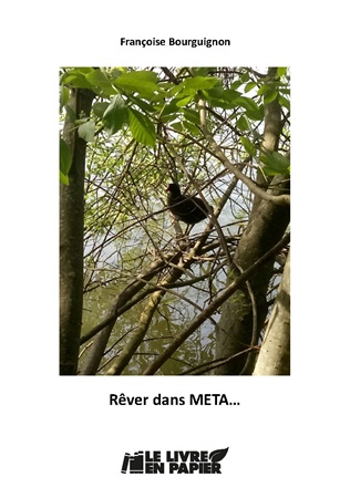 publier-un-livre.com_3765-rever-dans-meta