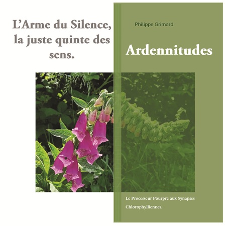 publier-un-livre.com_4601-l-arme-du-silence-la-juste-quinte-des-sens-ardennitudes