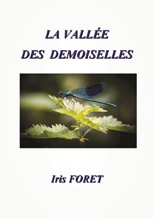 publier-un-livre.com_4632-la-vallee-des-demoiselles