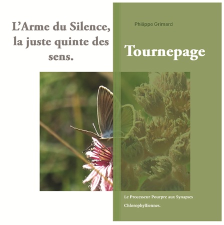 publier-un-livre.com_4693-l-arme-du-silence-la-juste-quinte-des-sens-tournepage