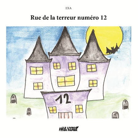 publier-un-livre.com_4981-rue-de-la-terreur-numero-12
