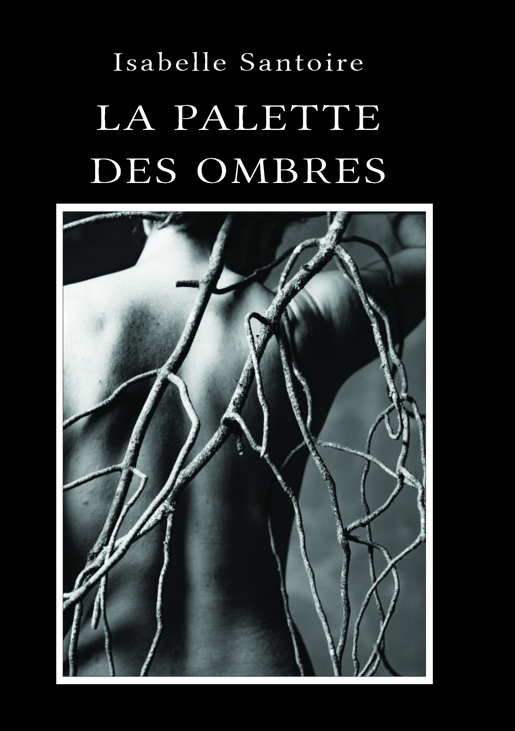 publier-un-livre.com_5126-la-palette-des-ombres