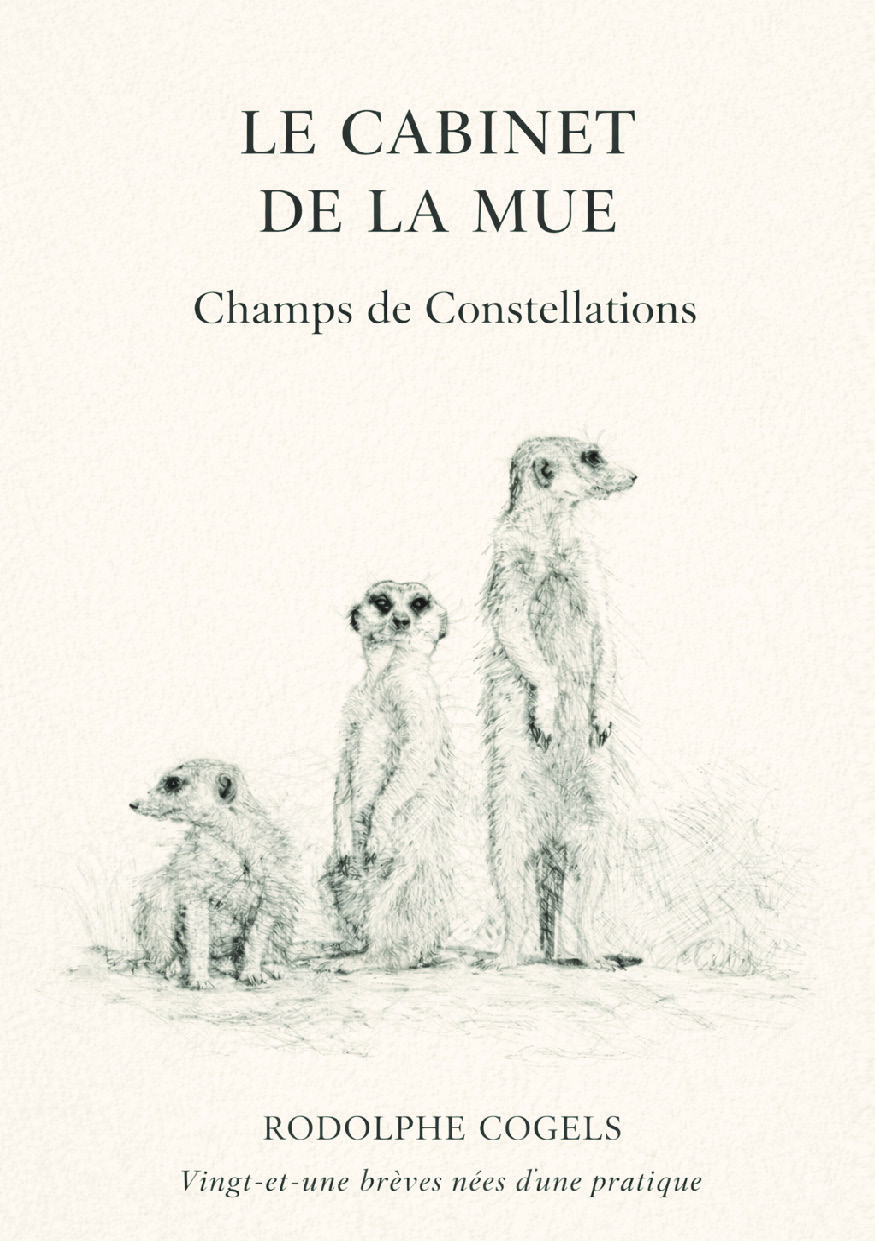 publier-un-livre.com_5180-le-cabinet-de-la-mue