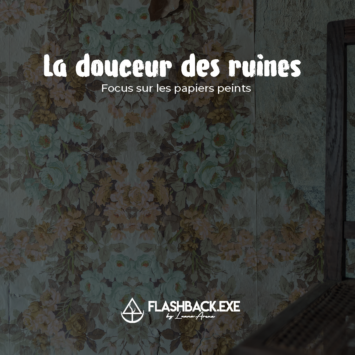 publier-un-livre.com_5221-la-douceur-des-ruines-focus-sur-les-papiers-peints