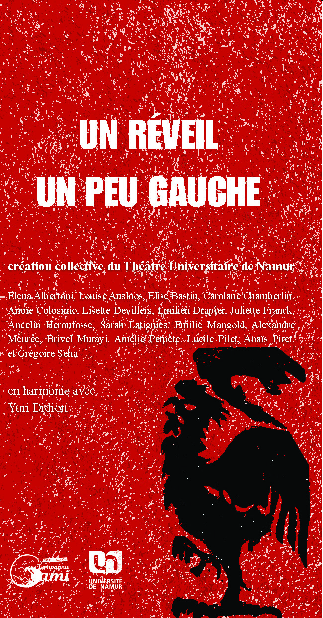 publier-un-livre.com_5260-un-reveil-un-peu-gauche