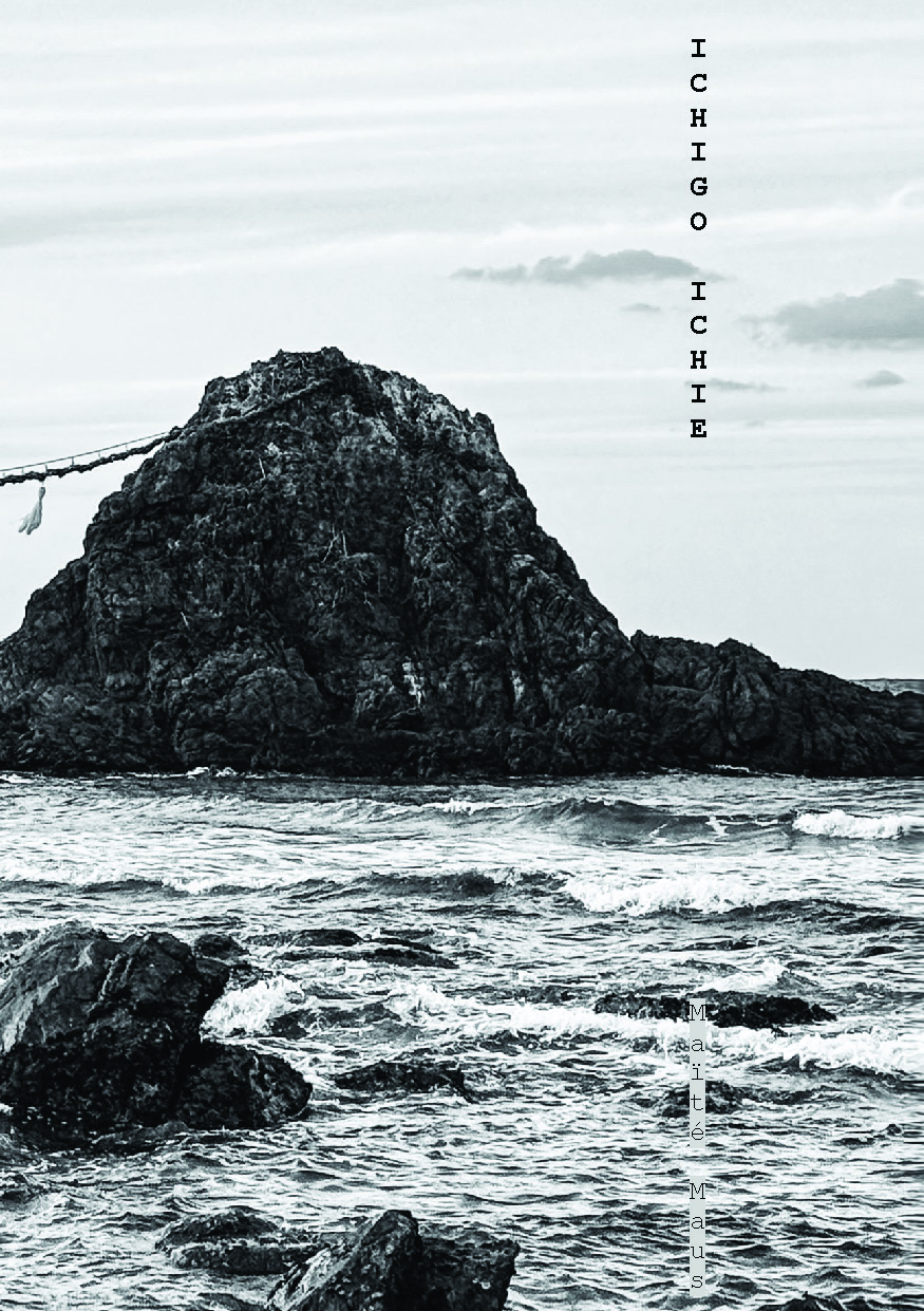 publier-un-livre.com_5289-ichigo-ichie