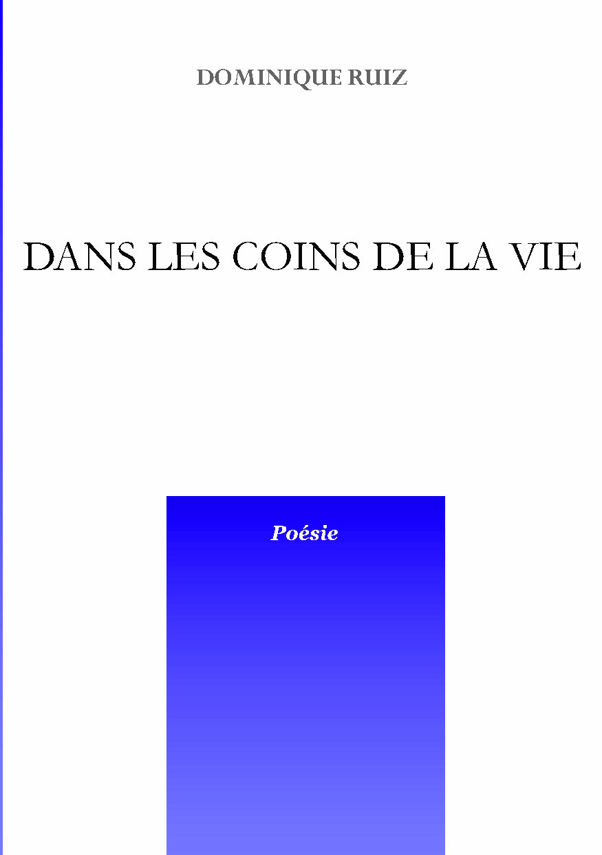 publier-un-livre.com_5328-dans-les-coins-de-la-vie