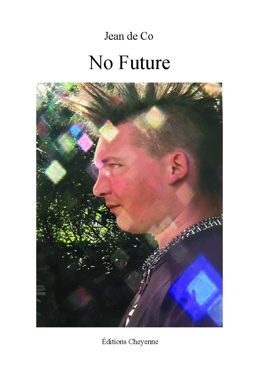 publier-un-livre.com_5349-no-future