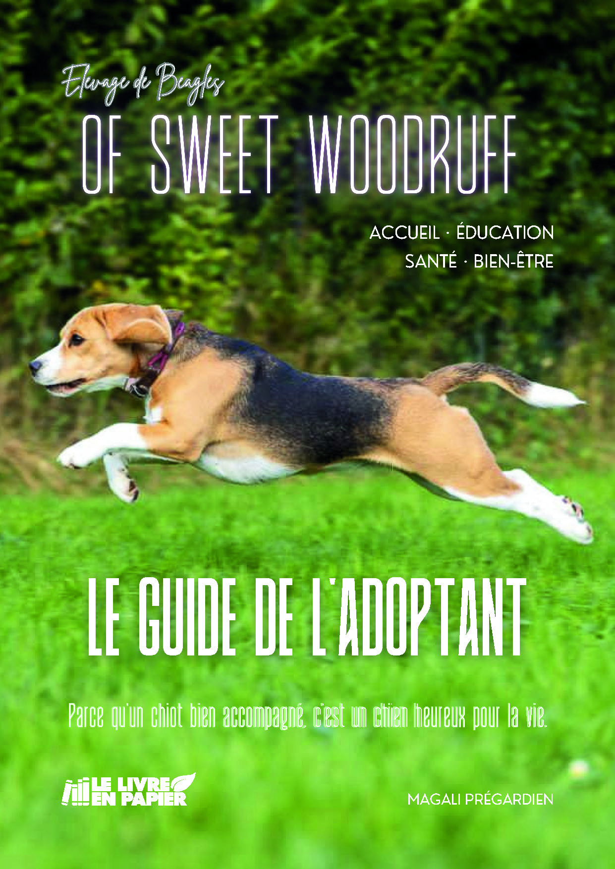 publier-un-livre.com_5365-le-guide-de-l-adoptant