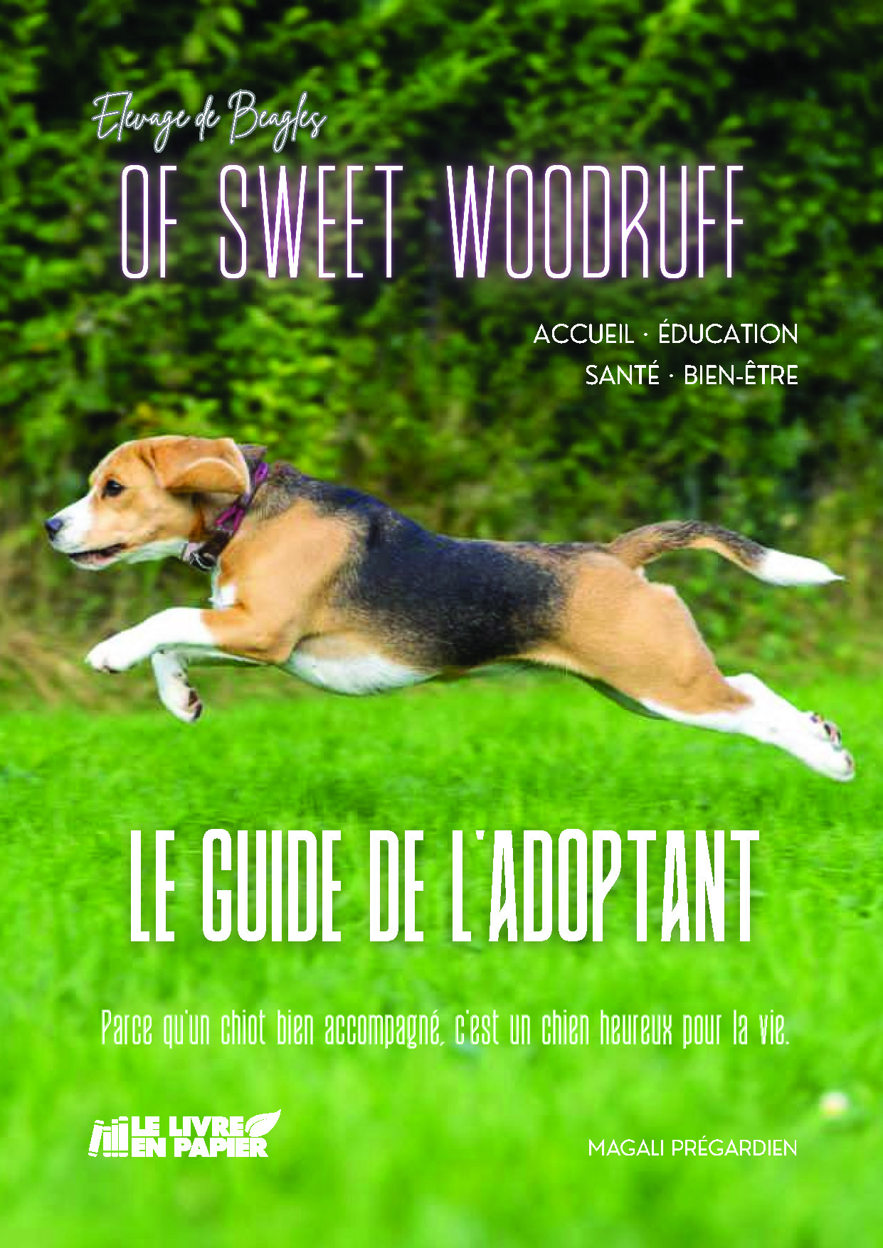publier-un-livre.com_5365-le-guide-de-l-adoptant