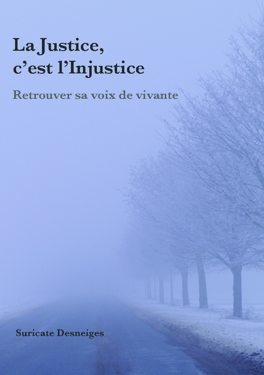 publier-un-livre.com_5381-la-justice-c-est-l-injustice-retrouver-sa-voix-de-vivante