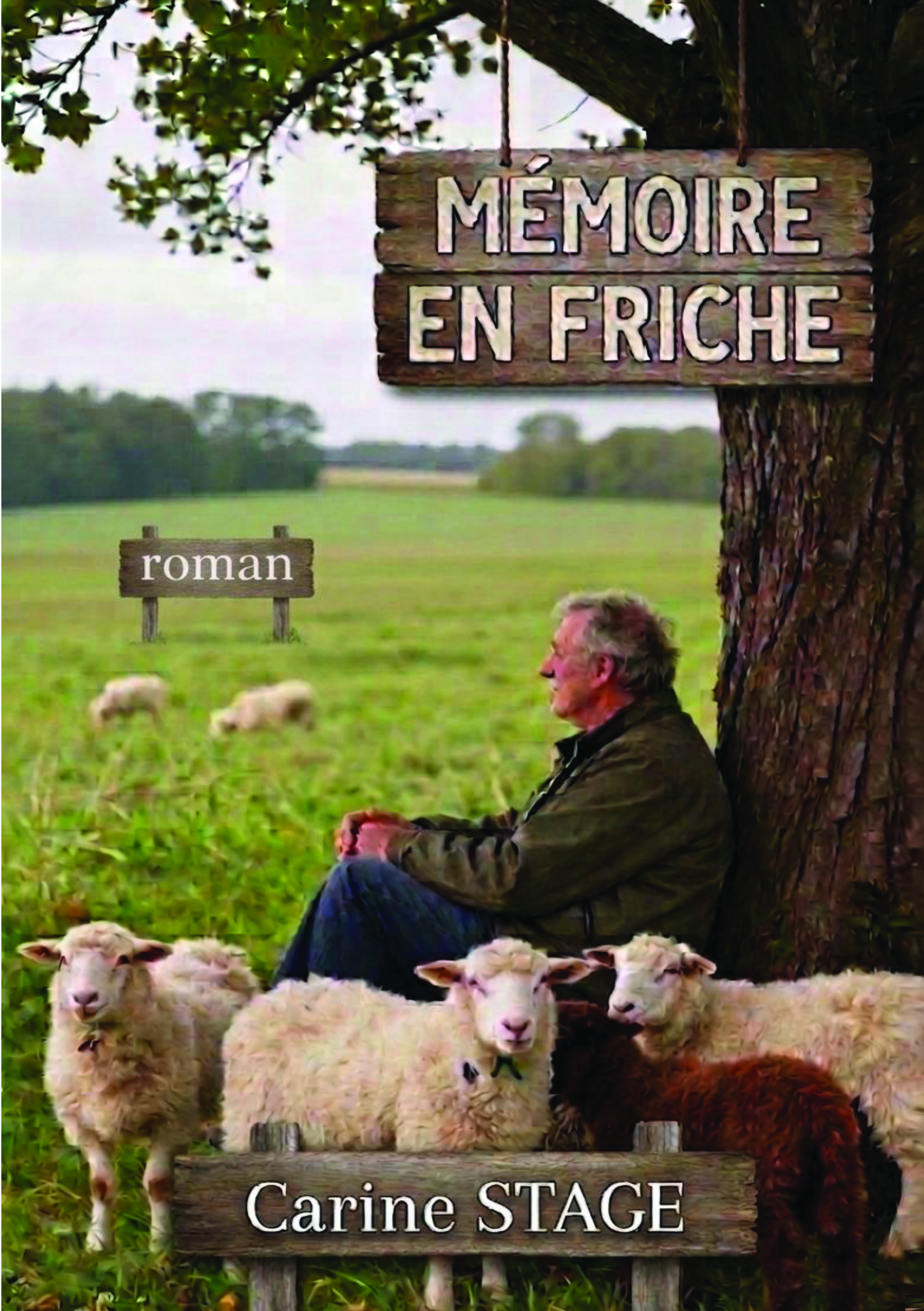 publier-un-livre.com_5392-memoire-en-friche