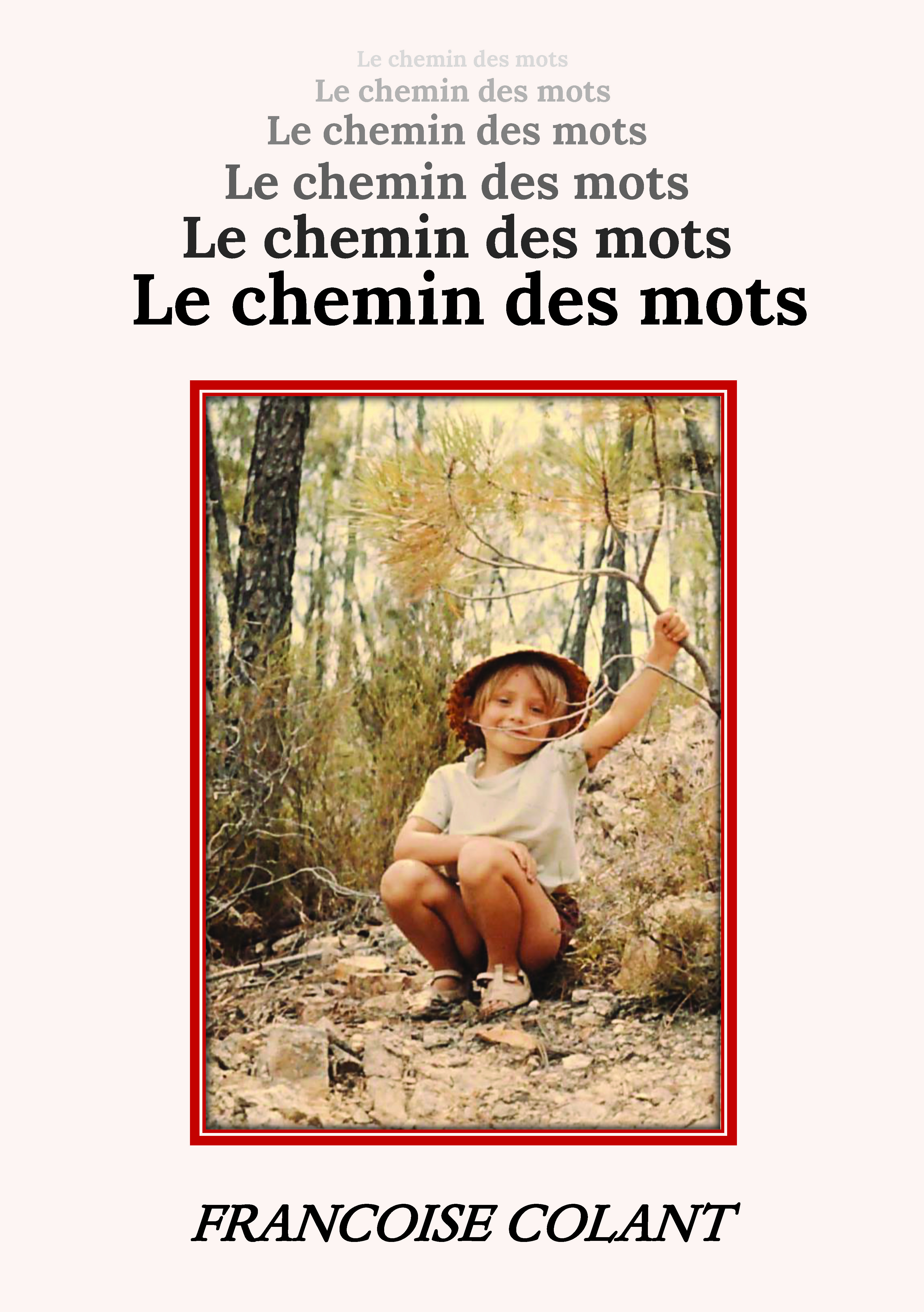 publier-un-livre.com_5394-le-chemin-des-mots