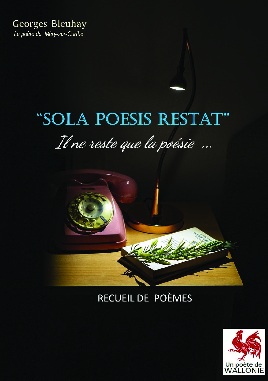 publier-un-livre.com_5402-sola-poesis-restat-il-ne-reste-que-la-poesie