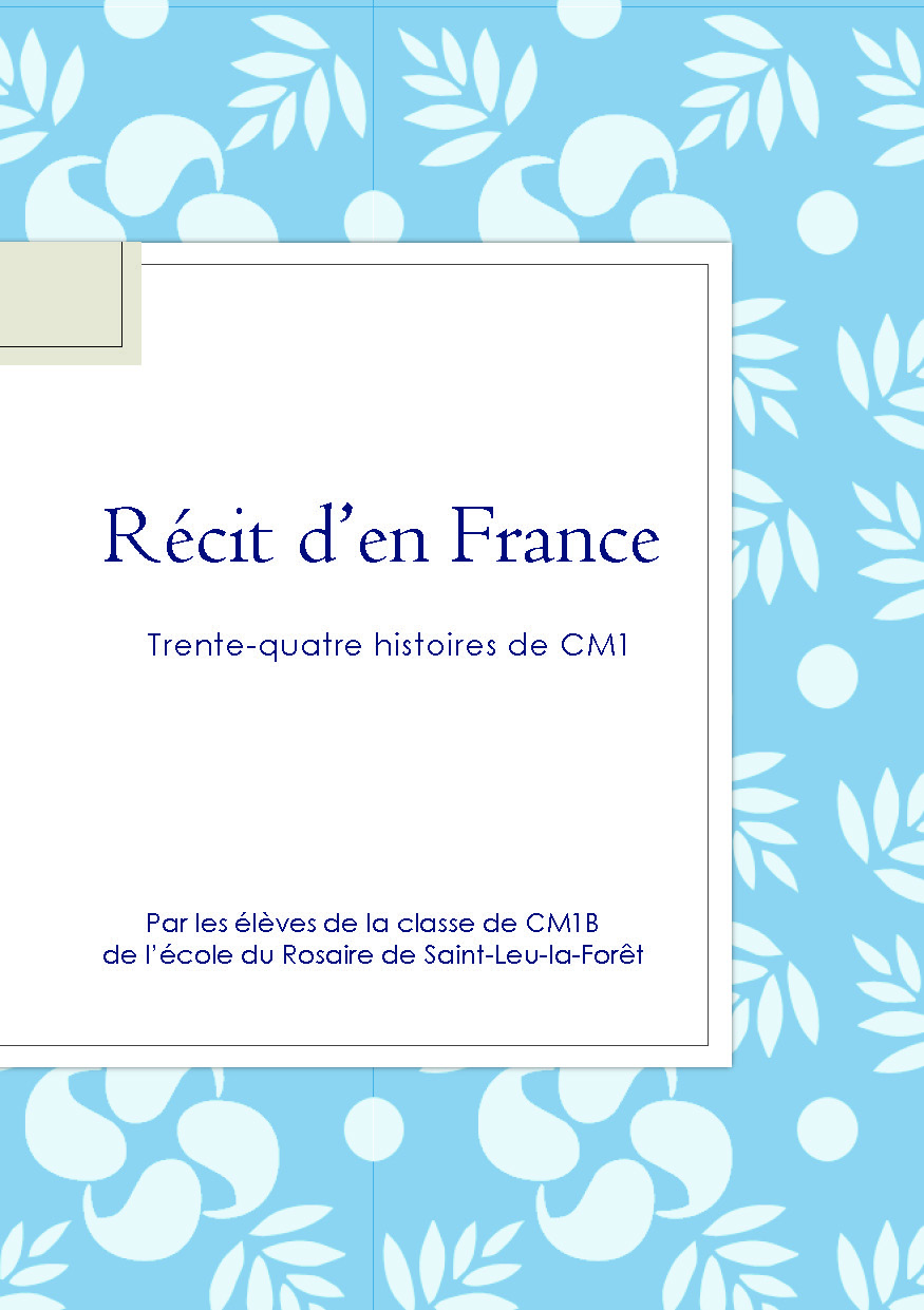 publier-un-livre.com_5424-histoire-d-en-france