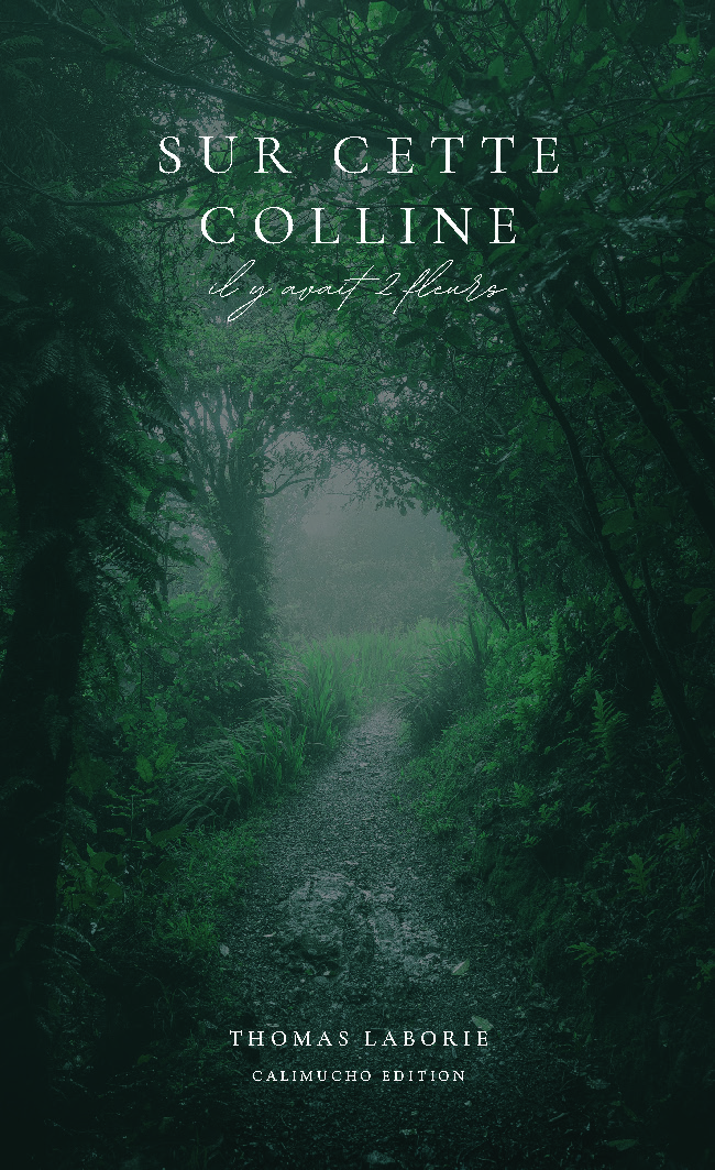 publier-un-livre.com_5435-sur-cette-colline-il-y-avait-2-fleurs
