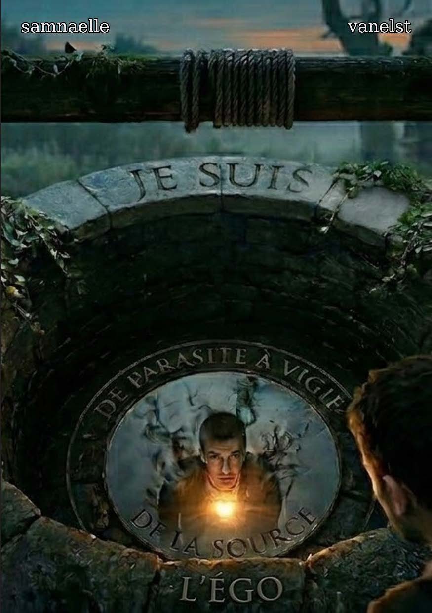 publier-un-livre.com_5552-je-suis-l-ego-de-parasite-a-vigie-de-la-source