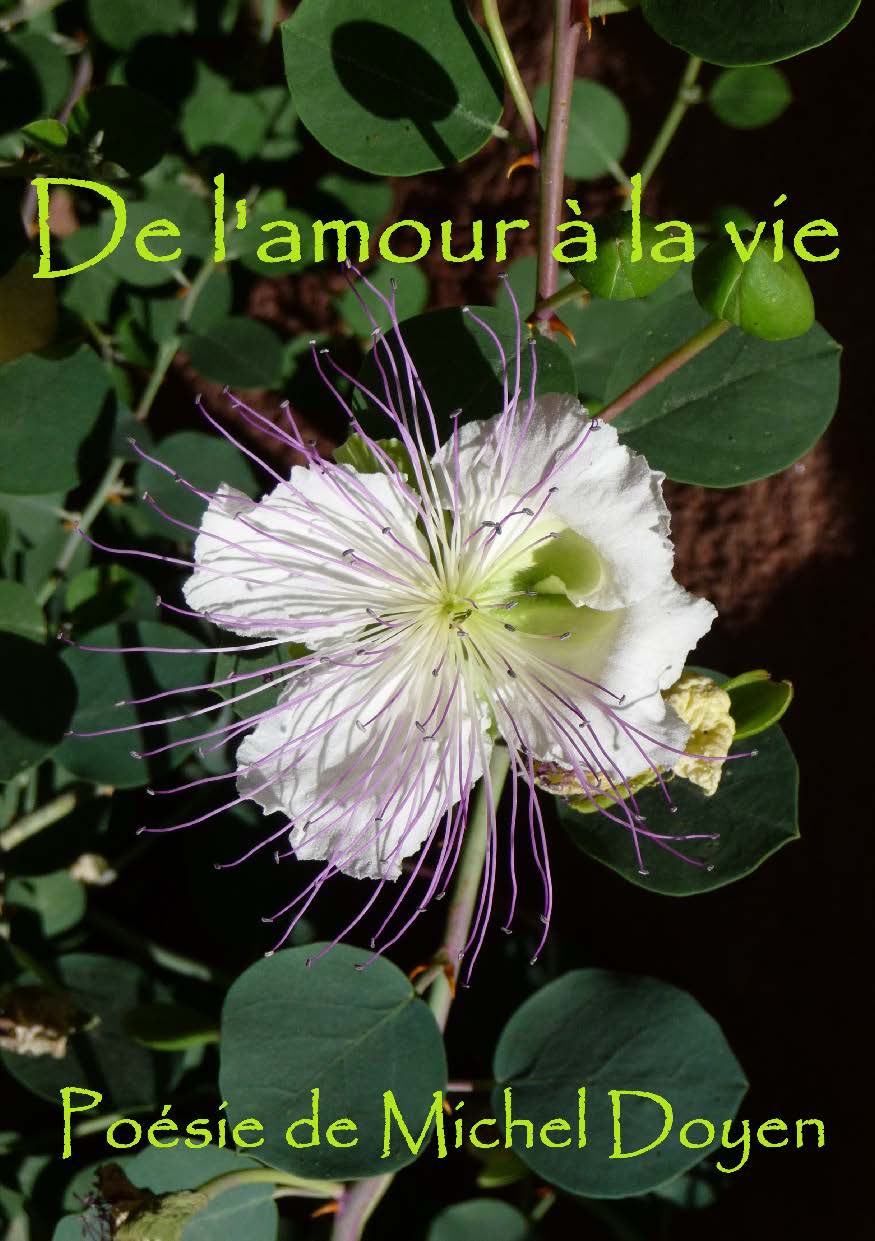publier-un-livre.com_5659-de-l-amour-a-la-vie