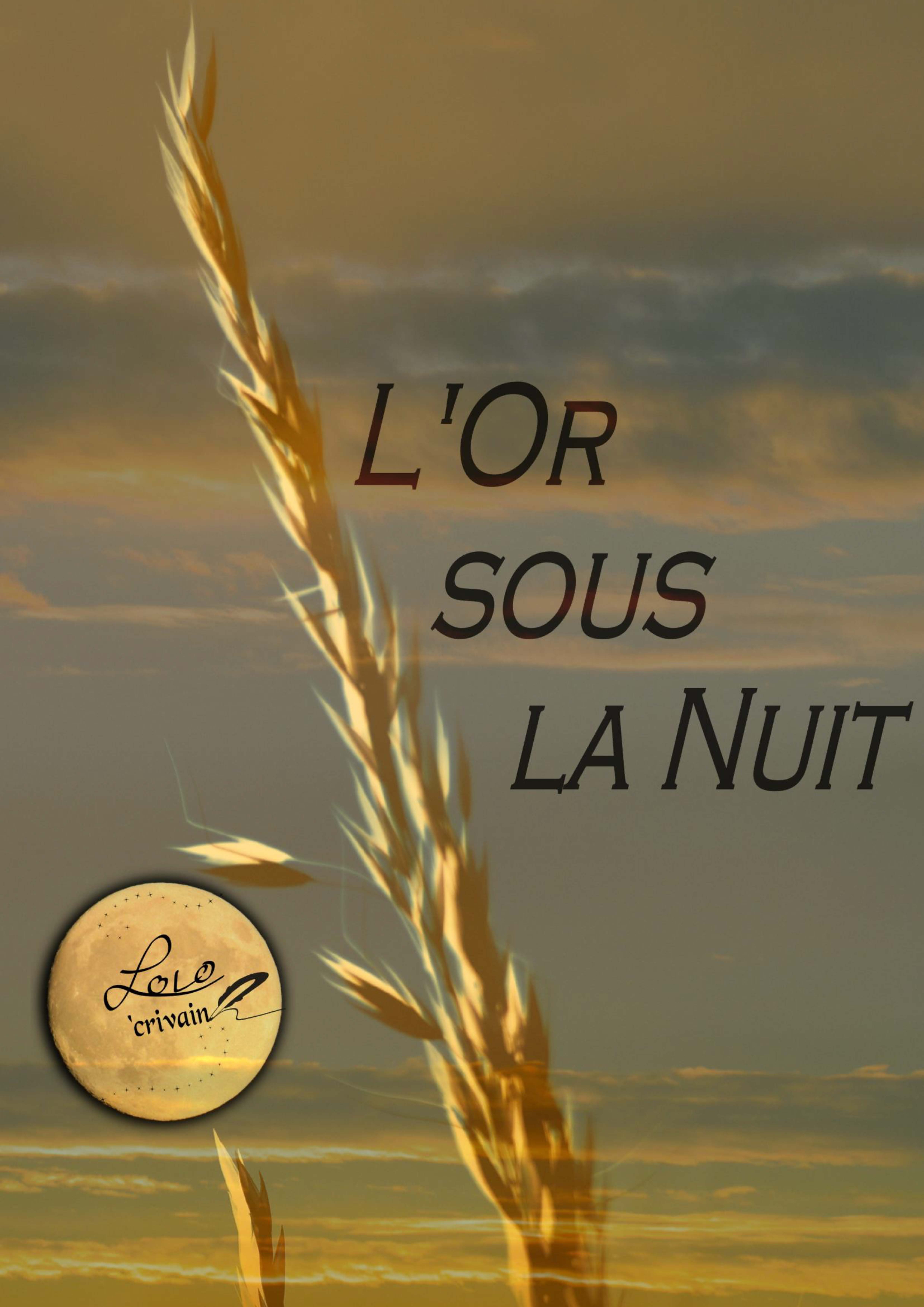 publier-un-livre.com_5686-l-or-sous-la-nuit
