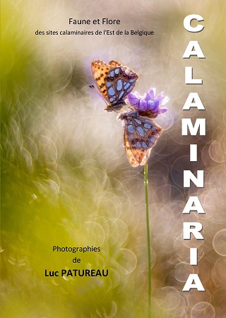 publier-un-livre.com_574-calaminaria