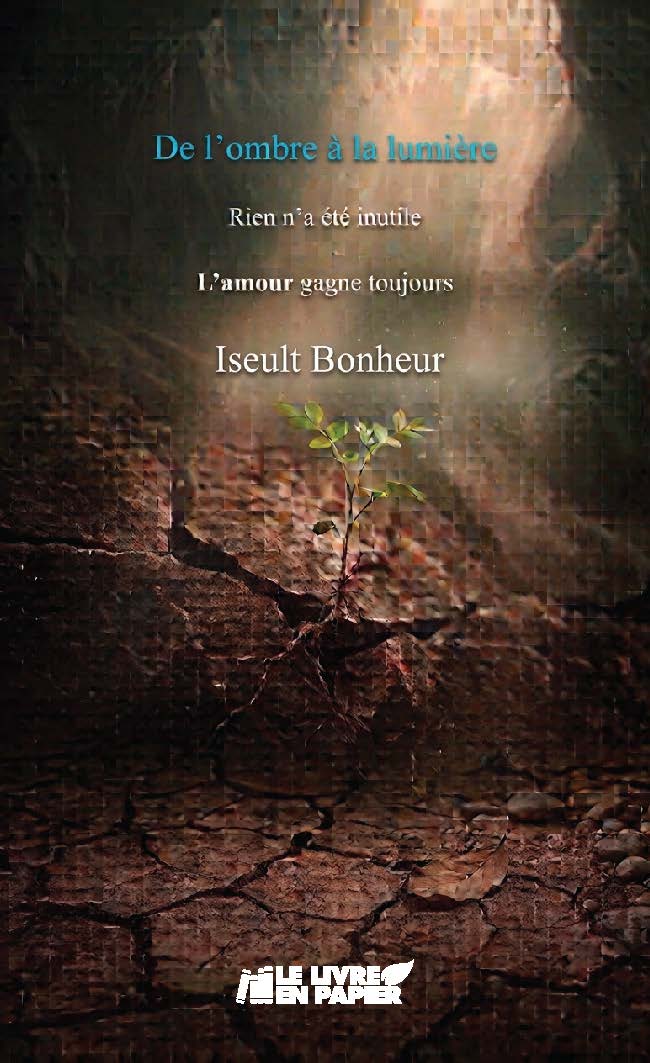 publier-un-livre.com_5767-de-l-ombre-a-la-lumiere