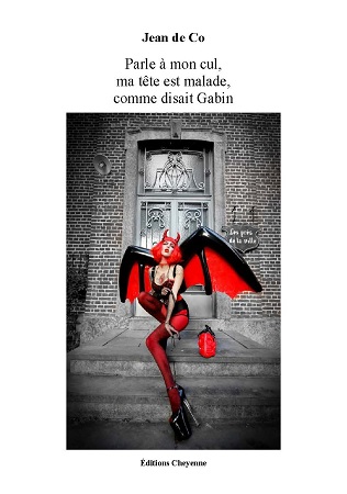 publier-un-livre.com_593-parle-a-mon-cul-ma-tete-est-malade