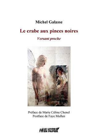 publier-un-livre.com_608-le-crabe-aux-pinces-noires-versant-proche