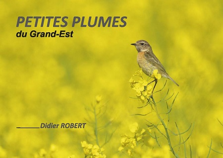 publier-un-livre.com_673-petites-plumes-du-grand-est