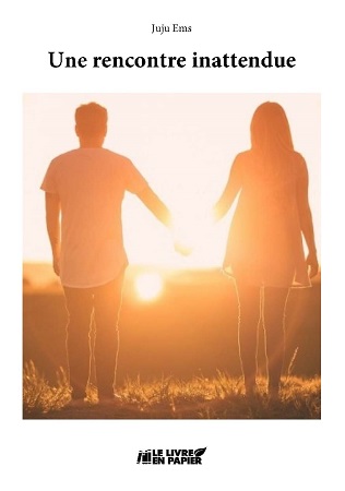 publier-un-livre.com_724-une-rencontre-inattendue