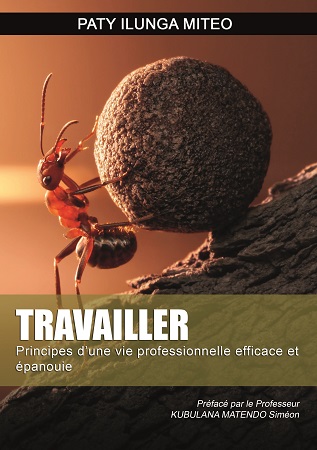 publier-un-livre.com_804-travailler-principes-d-une-vie-professionnelle-efficace-et-epanouie