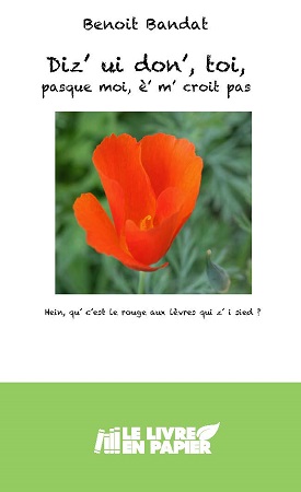 publier-un-livre.com_967-dis-ui-don-toi