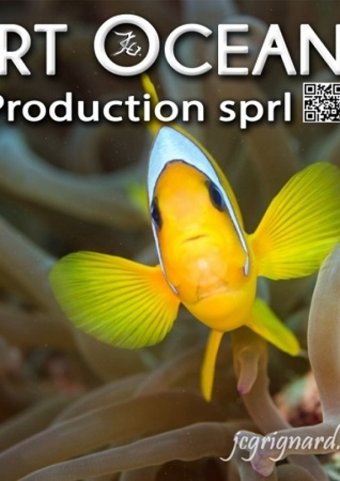 publier-un-livre.com_273-art-ocean-production