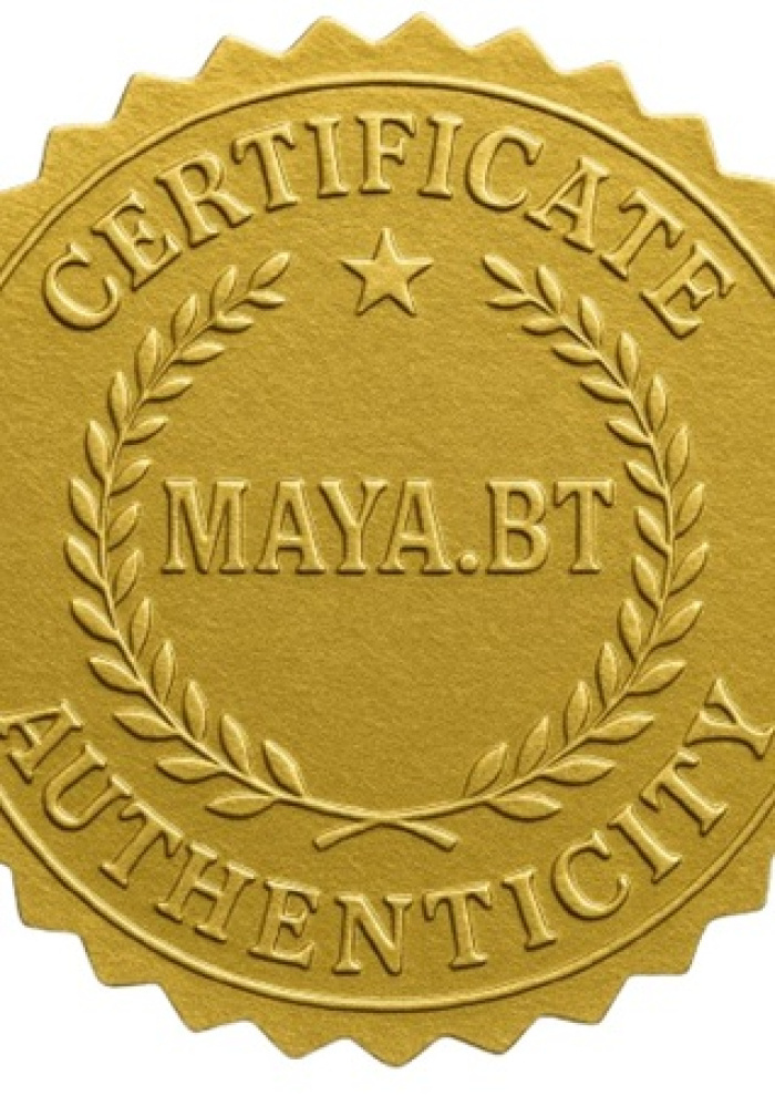 publier-un-livre.com_31003-maya-bt