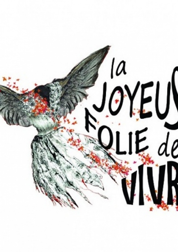 publier-un-livre.com_8523-la-joyeuse-folie-de-vivre-asbl